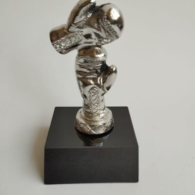 Trofeo de box