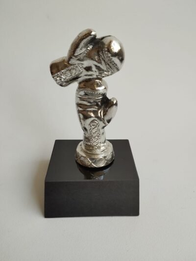 Trofeo de box