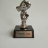 Trofeo de box