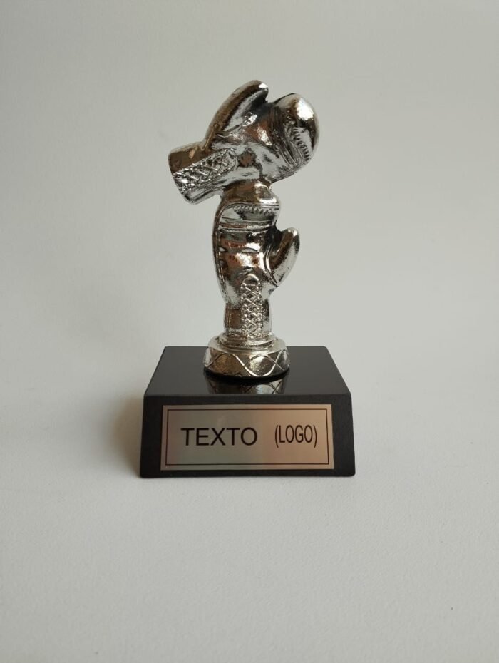 Trofeo de box